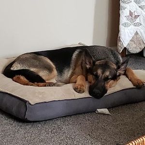 Meet your Posher, Toni